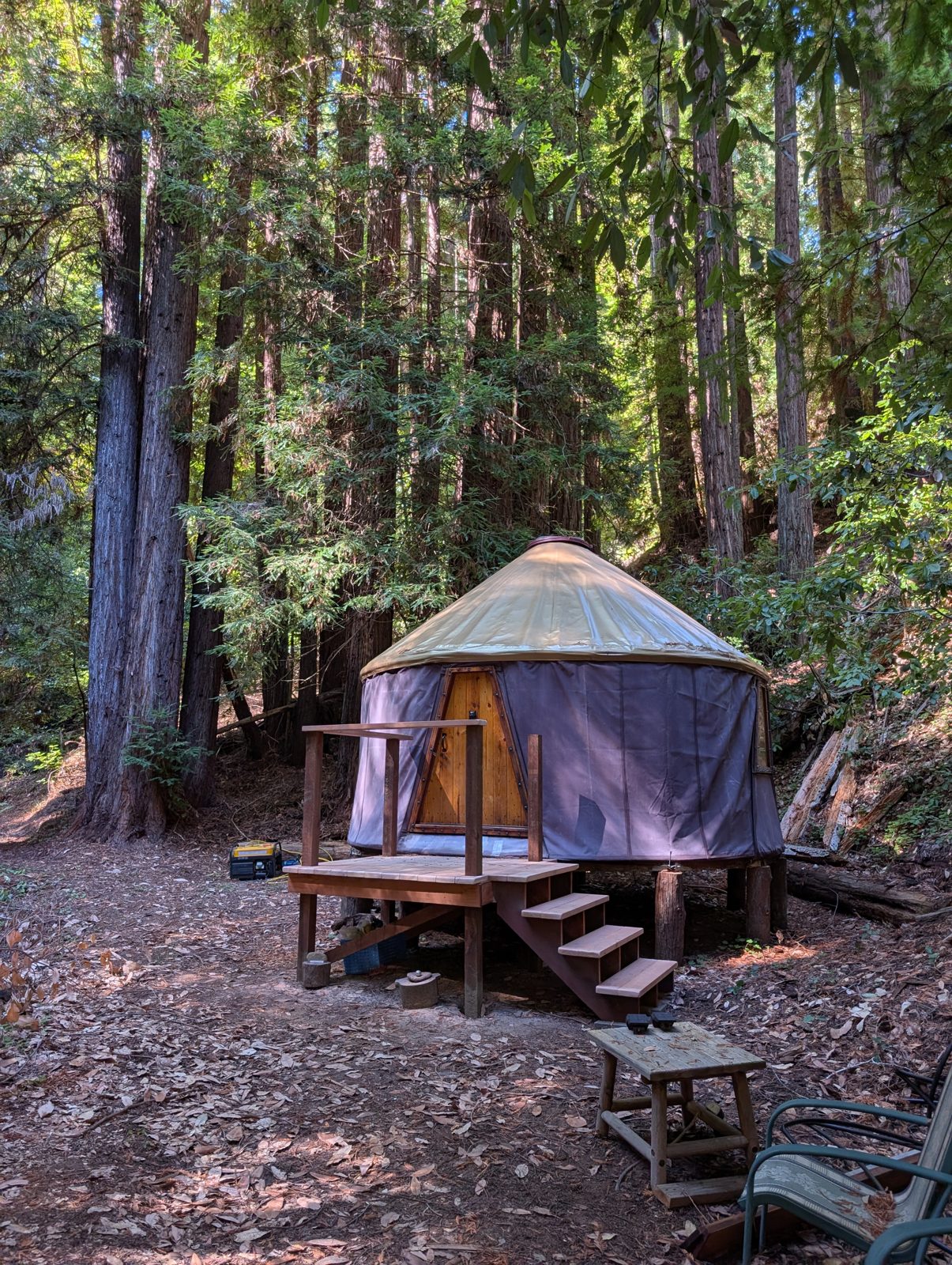 The yurt beside the stream, ringed by redwoods